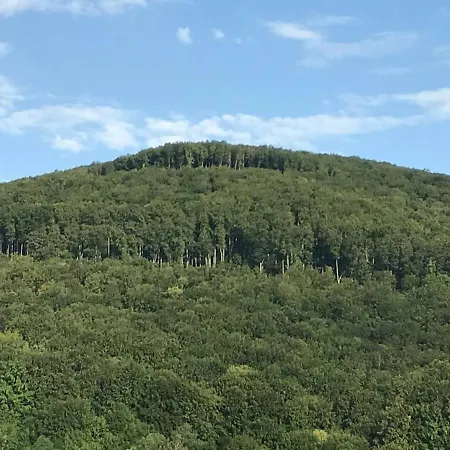 приватна ~smoky Mountain~ Poljana