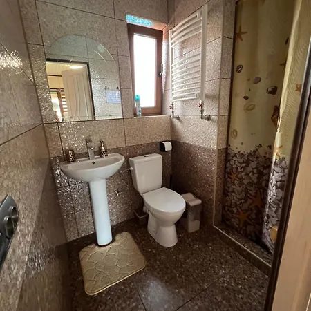 Hébergement de vacances приватна ~smoky Mountain~ Polyana (Transcarpathia)