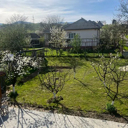 приватна ~smoky Mountain~