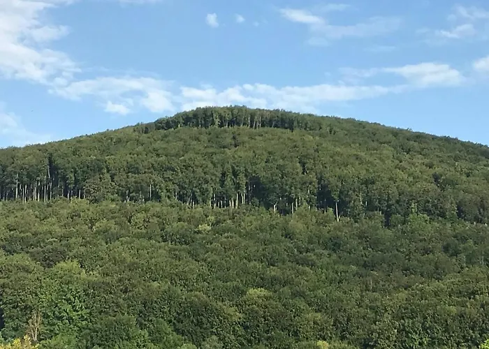 приватна ~smoky Mountain~ Polyana (Transcarpathia)