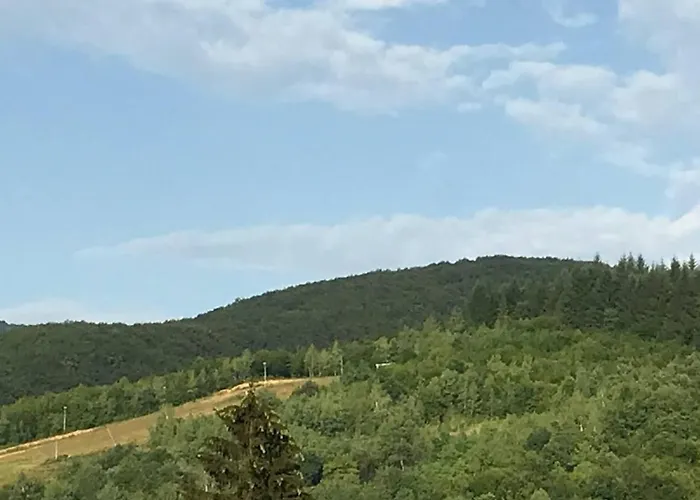 приватна ~smoky Mountain~ Feriehus Polyana (Transcarpathia)