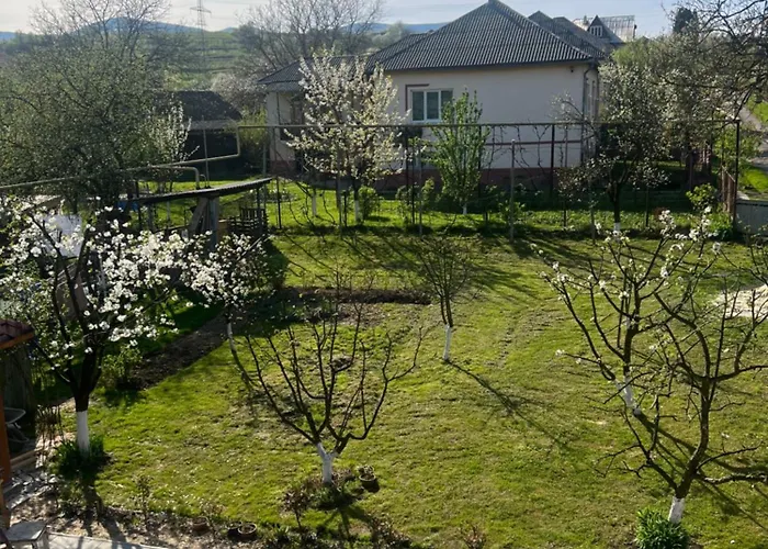 приватна ~smoky Mountain~