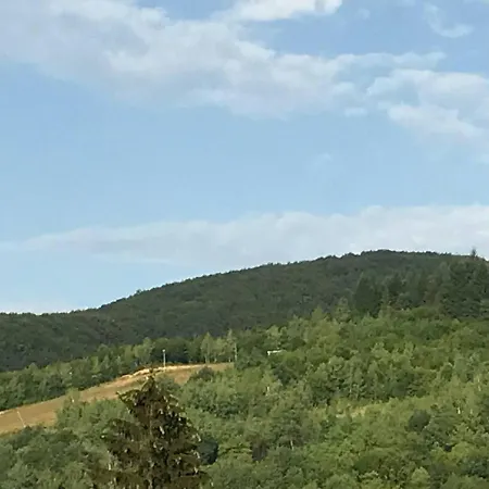 приватна ~smoky Mountain~ Hébergement de vacances Polyana (Transcarpathia)